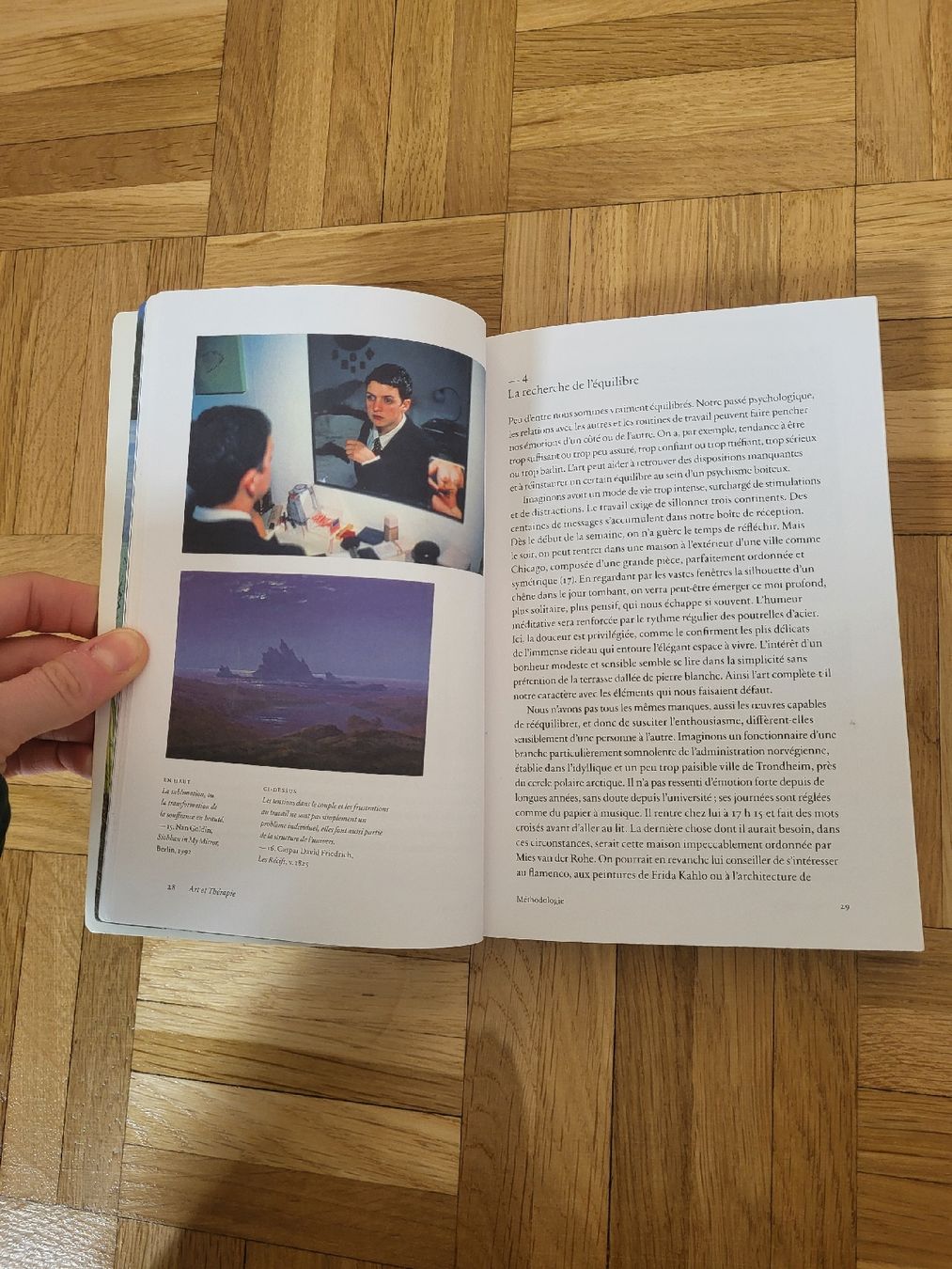 Libri: Art et Thérapies - Phaidon – Usato da Genève venduto da Poupoulita 2