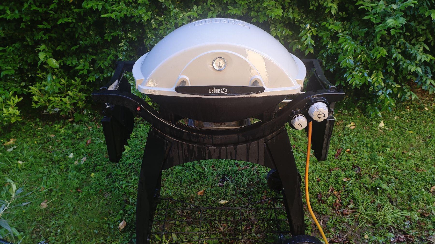 Griglie: Weber Q 300 BUTN/PROPN BBQ grill – Usato da Zürich venduto da lau_nmx8