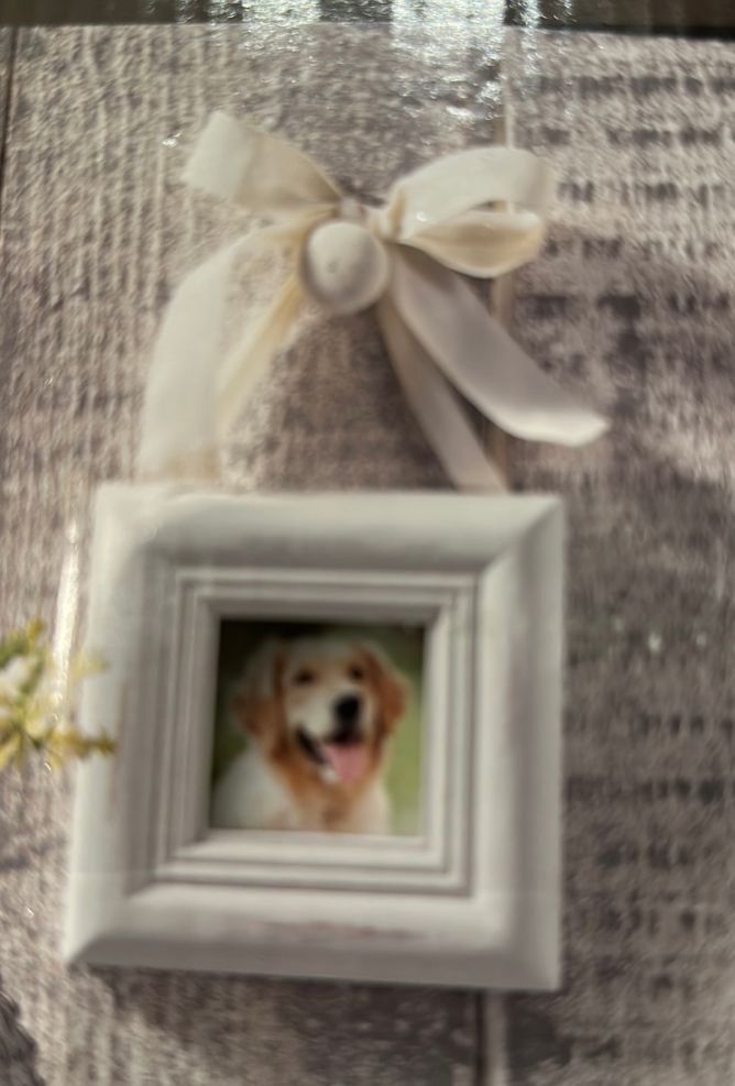 Cornici: 2 er süsse Shabby Chic Bilderrahmen mit Aufhängeschleife – Nuovo e nell'imballaggio originale da Fällanden venduto da LetiRobi 2
