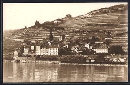 St. Saphorin, Ortsansicht vom Wasser aus