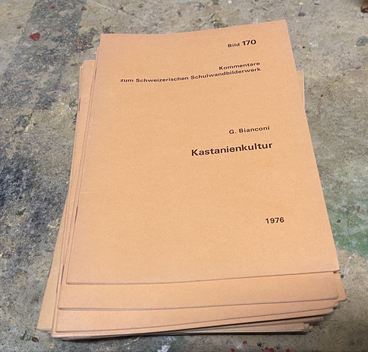 Bücher: Kommentare zum Schweizerischen Schulwandbildwerk – Gebraucht aus Liestal von Stephanoceras1 1