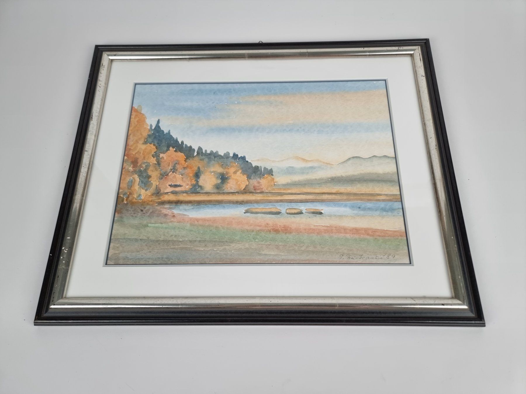 Dipinti: Aquarellmalerei Stilleben – Usato da Urtenen-Schönbühl venduto da Restwert_Schoenbuehl