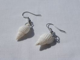 Ohrhänger mit kleiner Muschel, Modeschmuck / neu