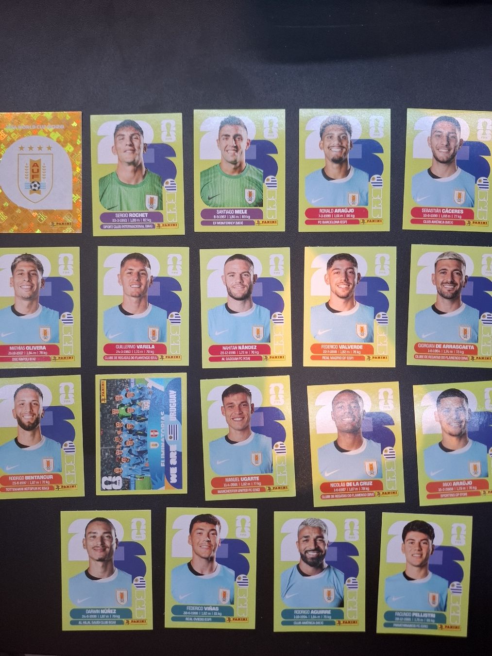 Panini Carte collezionabili: Panini 19 Sticker Uruguay  – Nuovo (secondo la descrizione) da Lieli venduto da Andrin.1901