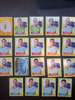 Panini 19 Sticker Uruguay 