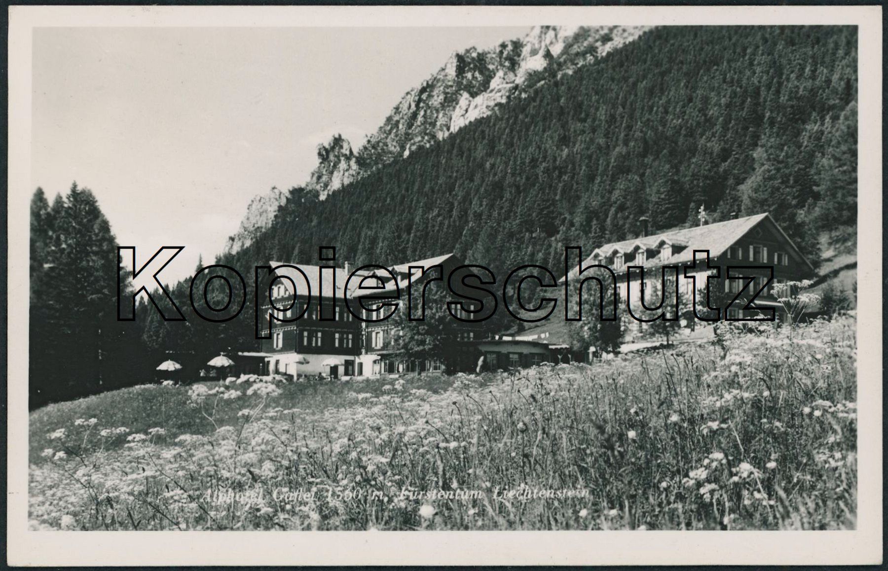 Cartoline postali: FL Gaflei - Triesenberg – Nuovo (secondo la descrizione) da Schindellegi venduto da dolpitz