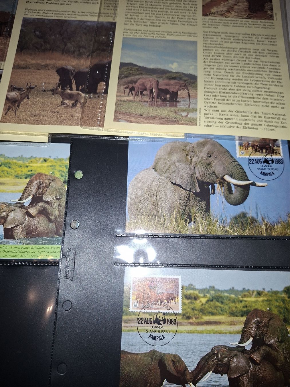 Tutti i francobolli: Motive / WWF 1983 / Maximum / Einzelmarken – Usato da Balgach venduto da SIMEON27 4