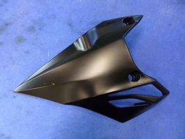 Kawasaki Z1000 / 2013 Bugspoiler links
