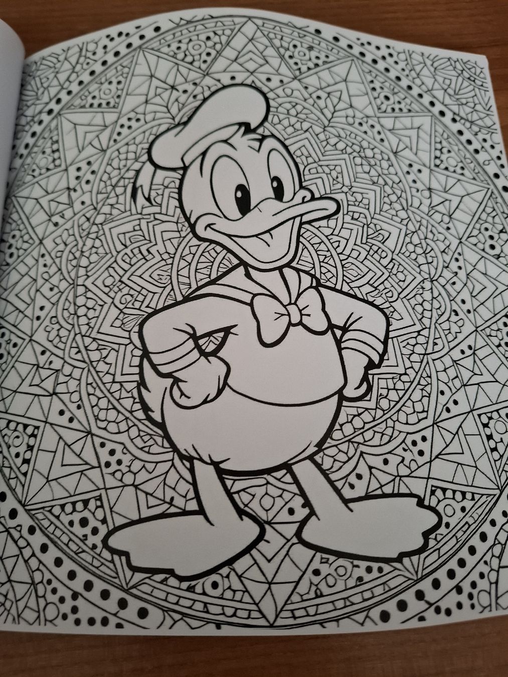Libri: Donald Duck Malbuch. – Nuovo e nell'imballaggio originale da Aarberg venduto da Happy058 1
