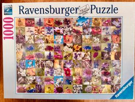 NEU: Ravensburger Puzzle „99 Bienen“ – 1000 Teile