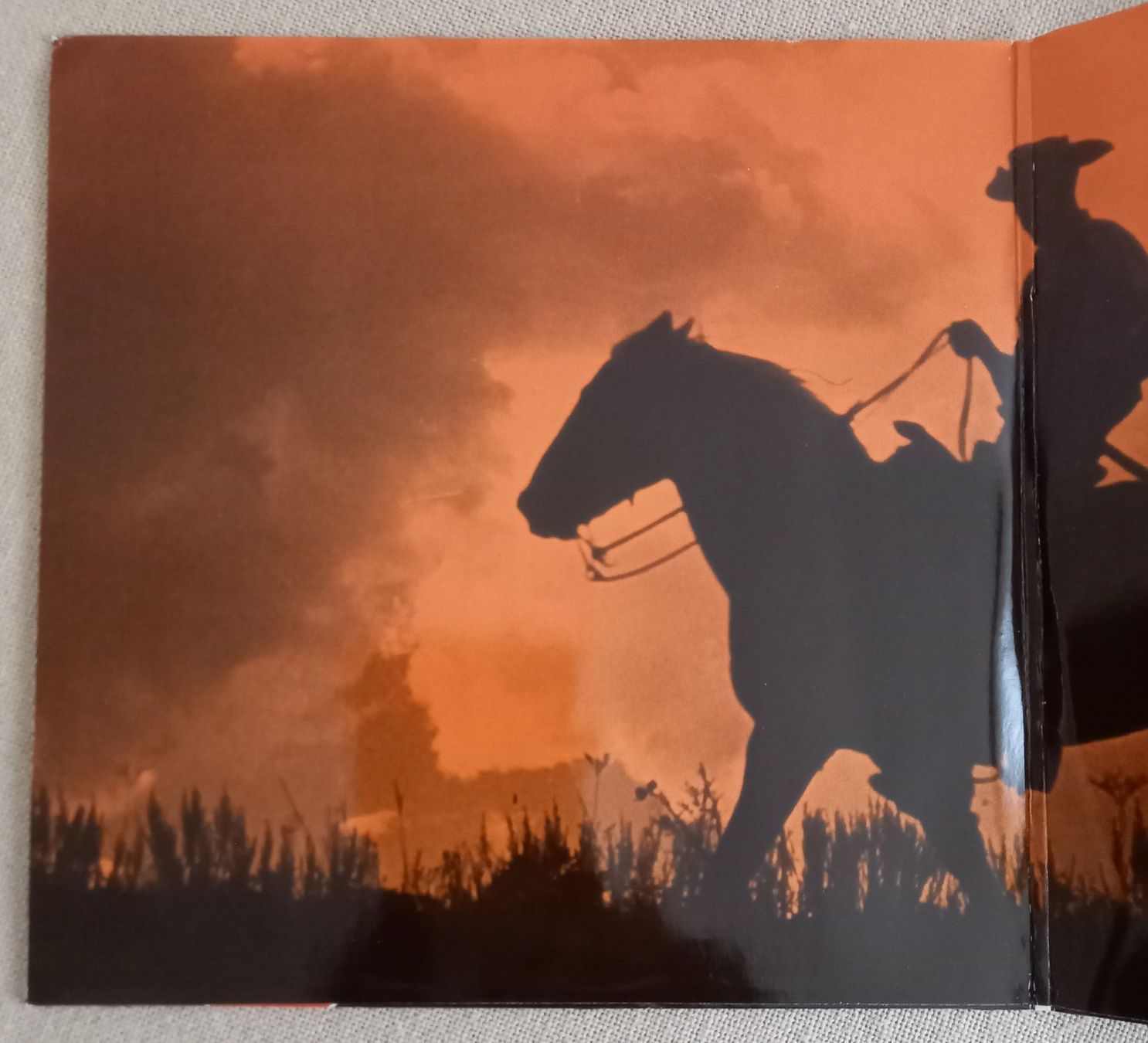 Dischi in vinile: 2 LPs COUNTRY & WESTERN VOL. 1 – Nuovo (secondo la descrizione) da Binningen venduto da mar_2jlr 2
