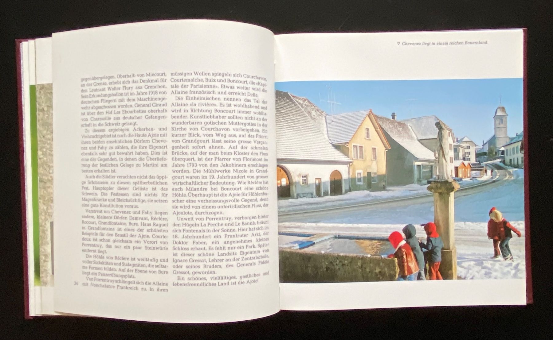 Libri: SCHWEIZER KANTONE / SANKT GALLEN – Usato da Nussbaumen AG venduto da schuba2000 7