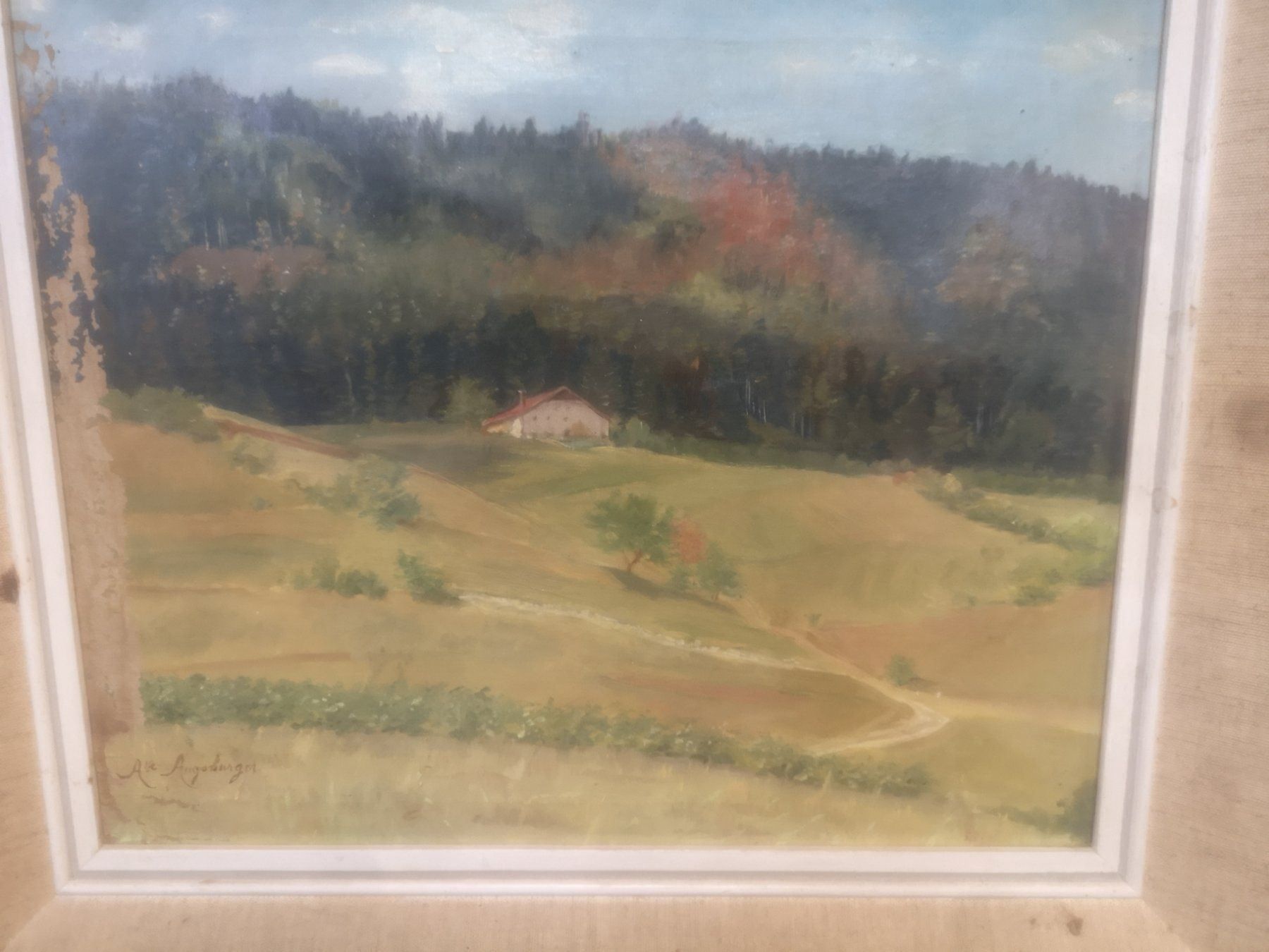Dipinti: HUILE SUR TOILE SIGNÉE AUGSBURGER – Usato da Genève venduto da Qanil77