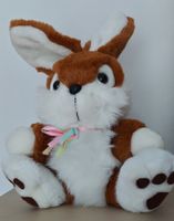 Hase