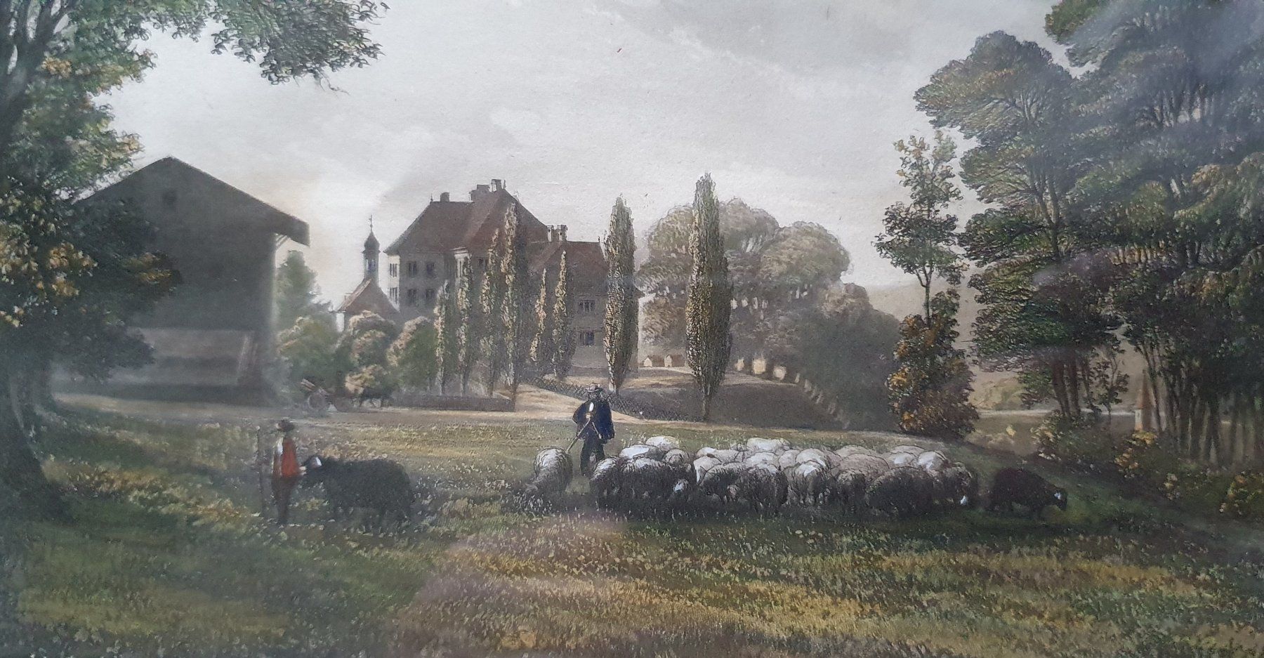 Incisioni: Bild - Farb-Stich, Schloss Eppishausen – Usato da Kreuzlingen venduto da Rschweiz1 3