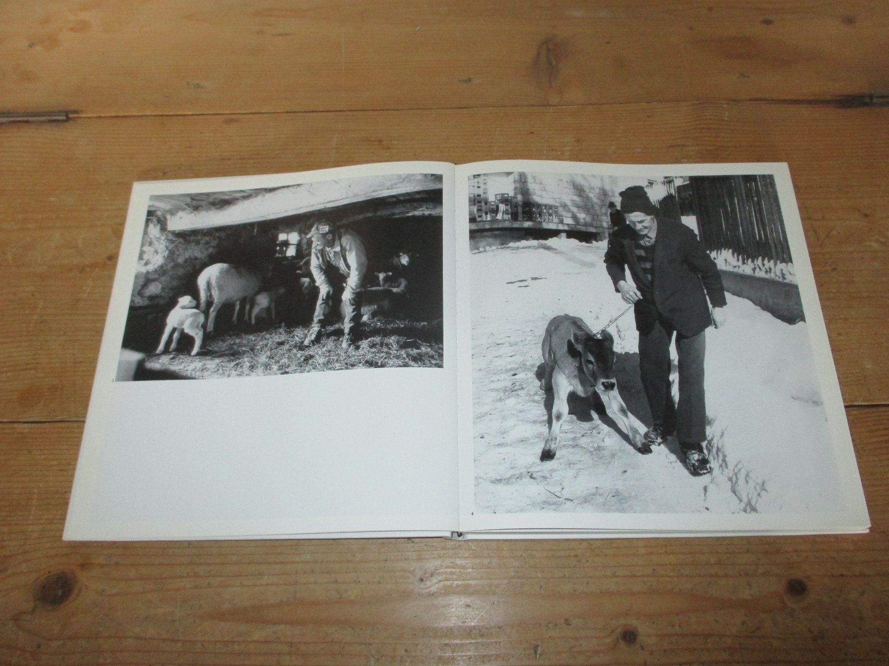 Libri: BÜNDNER Menschen und Momente 1987 – Usato da Flims - Dorf venduto da Stagediver 2