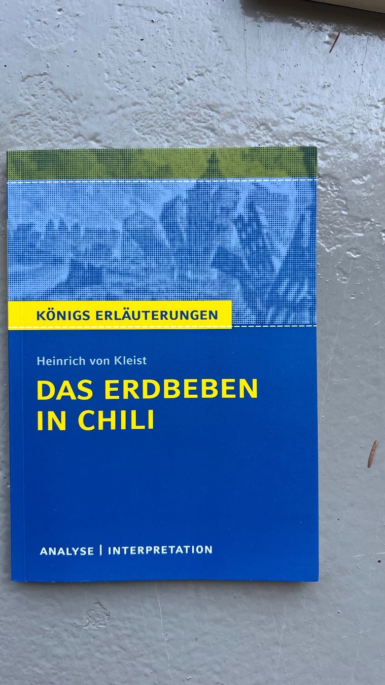Livres: Das Erdbeben in Chili – D'occasion à Ebmatingen par lwe_x6h5