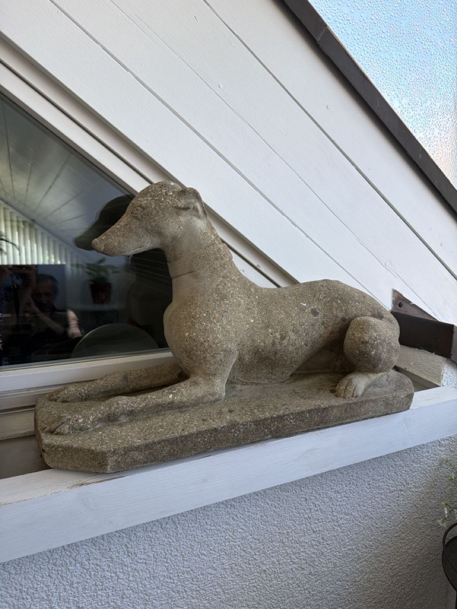 Sculture & Statue: Massive Deko-Windhunde aus Beton – Usato da Wettswil venduto da Onix2014 3