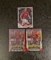 Zlatan Ibrahimovic - AC Milan - Topps & Panini