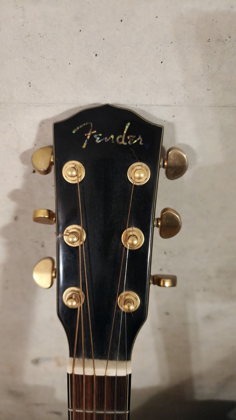 Fender Musikinstrumente: Fender Akustik Gitarre mit Softcase – Gebraucht aus Allschwil von music4freaks01 1