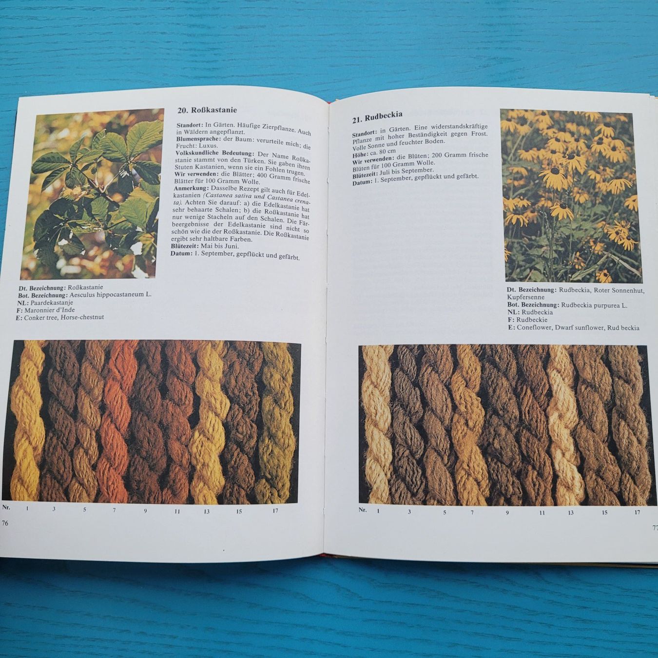 Libri: Wolle färben mit Naturfarben- Iet van de Vrande – Usato da SCHÜBELBACH venduto da CoKaHa 6