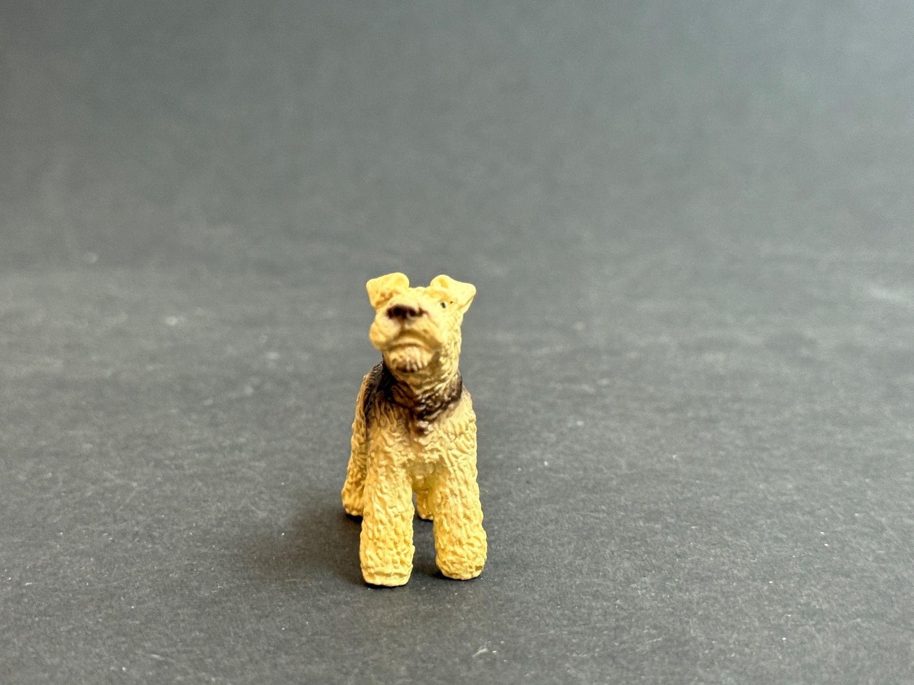 Schleich Statuette: Schleich 16338 Foxterrier Hund Terrier – Usato da Ennetbaden venduto da mapa05 3
