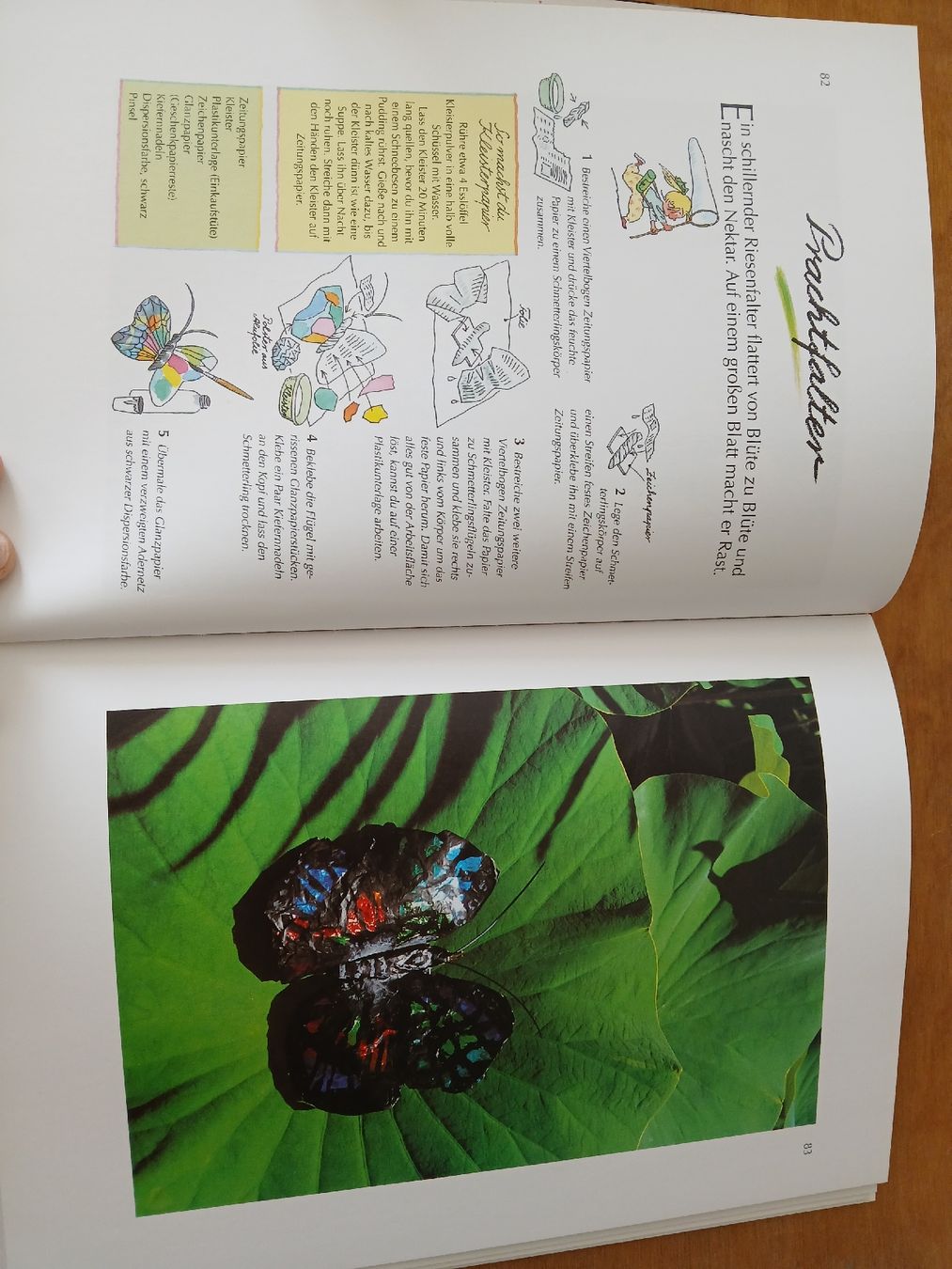 Libri: Bastelbuch – Usato da Ennetmoos venduto da kch_2tpv 1