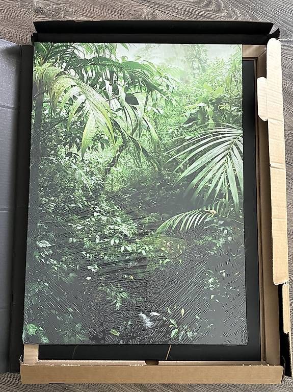 Foto & Immagini: Displate – Usato da Bülach venduto da Nintendotami