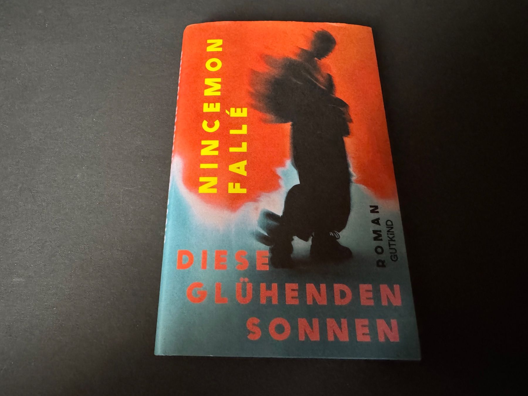 Livres: DIESE GLÜHENDEN SONNEN – Neuf (Voir description) à Hägendorf par bri_v995