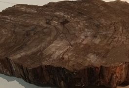 Versteinertes Holz, Baumscheibe,  Deko Unikat (ver94)