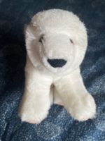Eisbär / Plüscheisbär