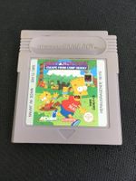 Bart Simpsons Escape from camp deadly - Gameboy