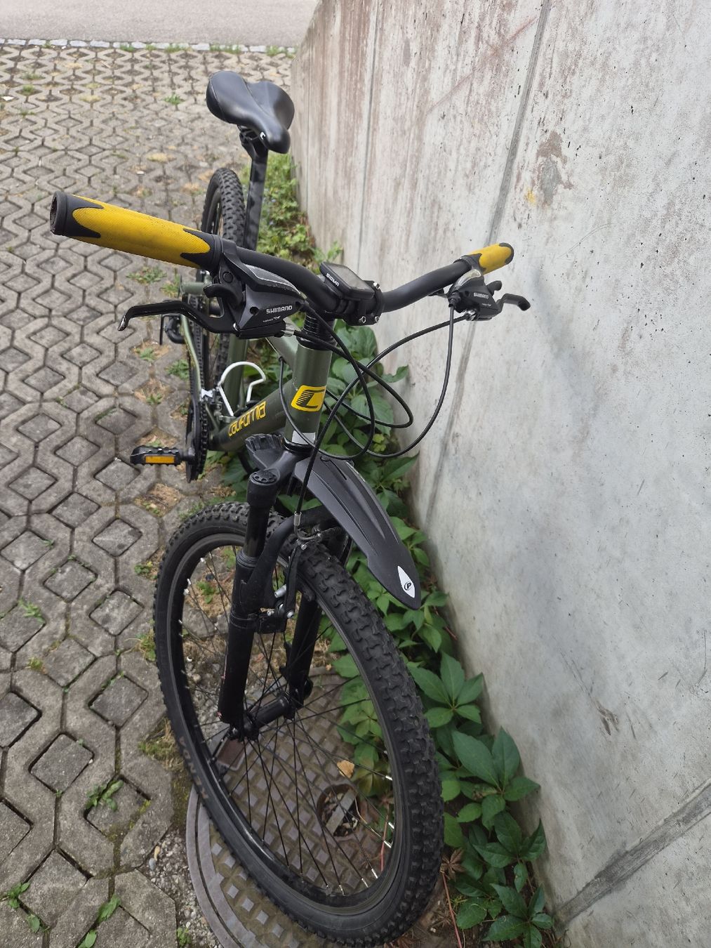 Biciclette: Mountainbike California gr 38 – Usato da Aarau venduto da bikestones 1