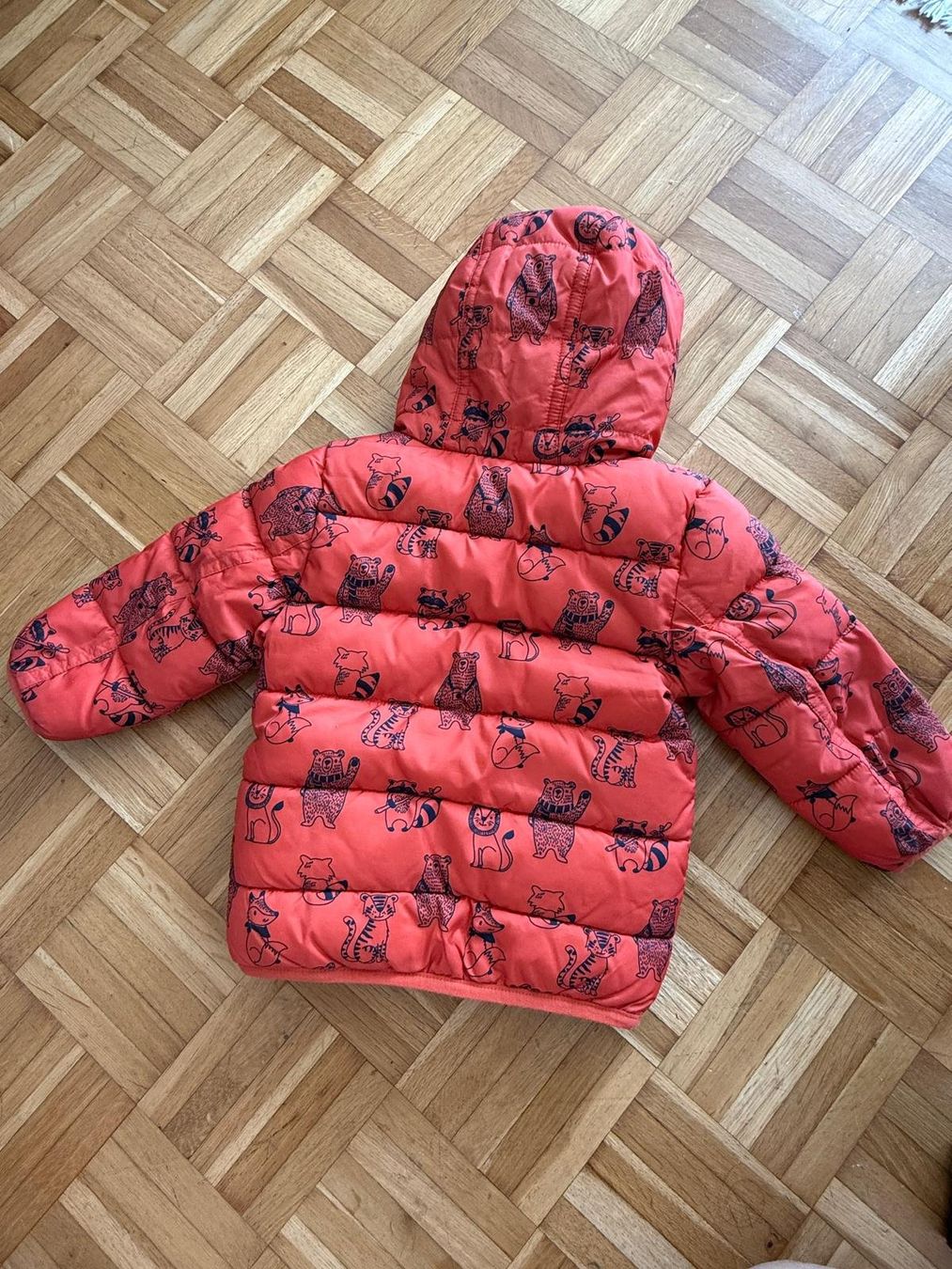 Jacken: Kinder Jacke mit Futter Grösse 74 gebraucht – Gebraucht aus oensingen von avalon013 1