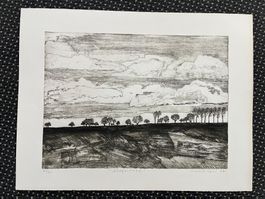 Radierung / Landschaft 1977 sig. Shlomit Lavi?    (ID B5878)