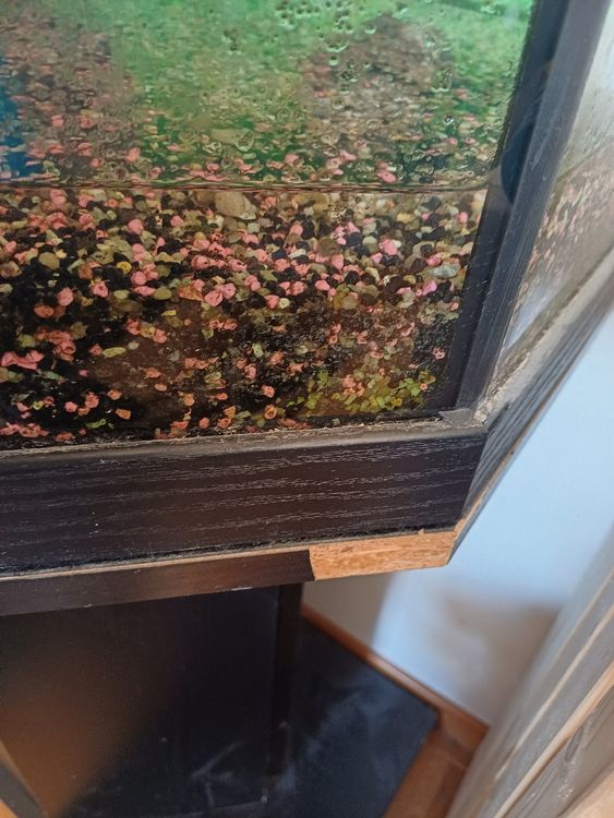Aquarium zu verschenken mit Unterschrank Kaufen auf Ricardo