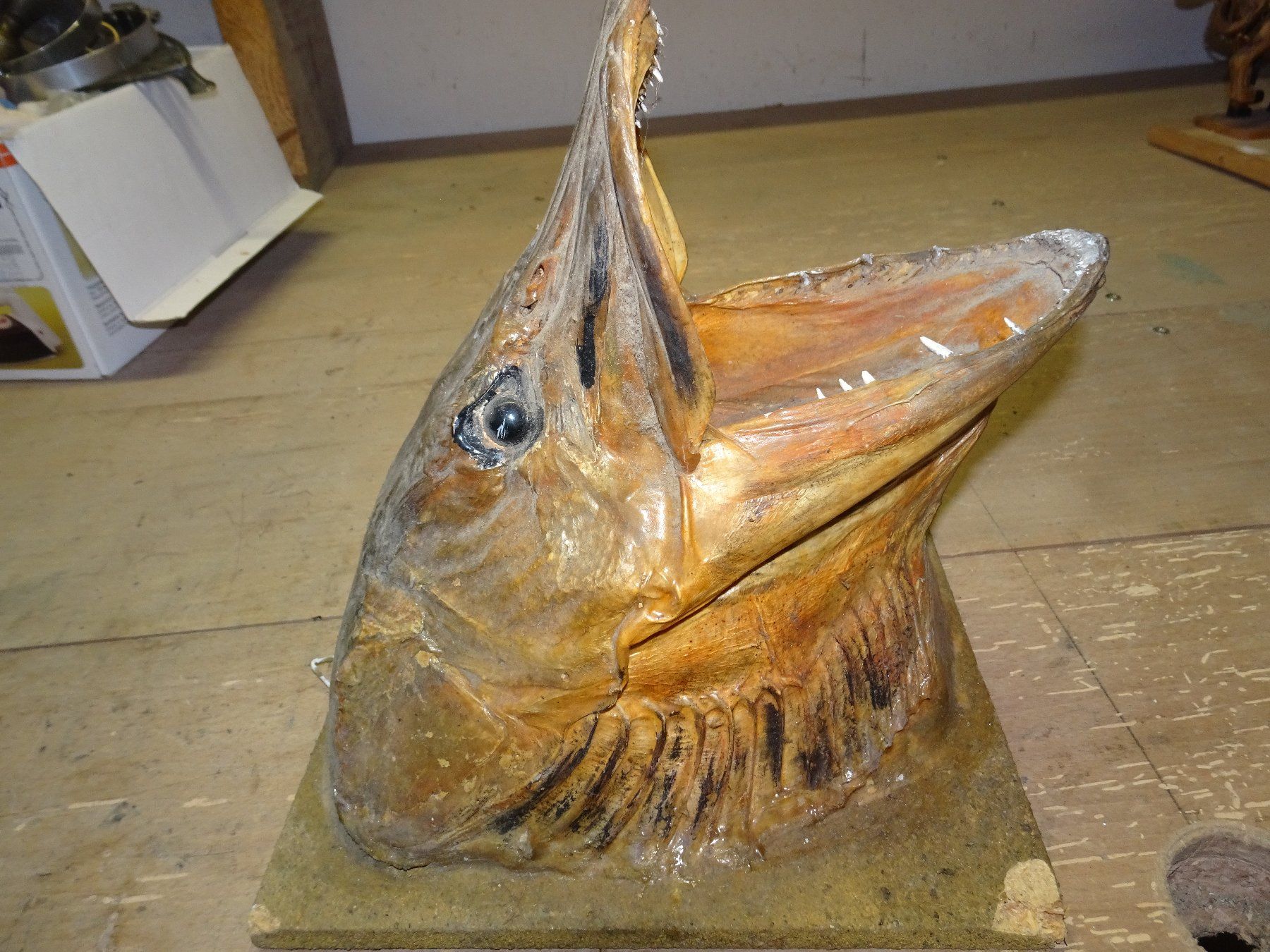 Statuette: Fischkopf – Usato da Bichwil venduto da Silbereule9