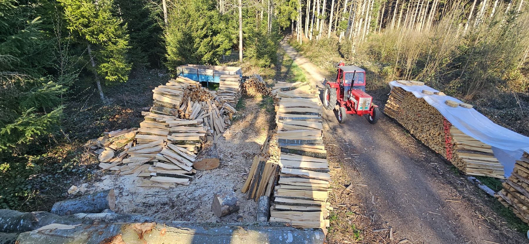 Articoli in legno: Brennholz Tanne – Nuovo (secondo la descrizione) da Vielbringen Worb venduto da lua_cm7v 4