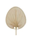Ornament COCOS
