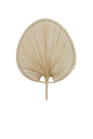 Ornament COCOS