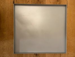 USM Haller, Auszug, Wanne 50 x 50, 5 Stk.