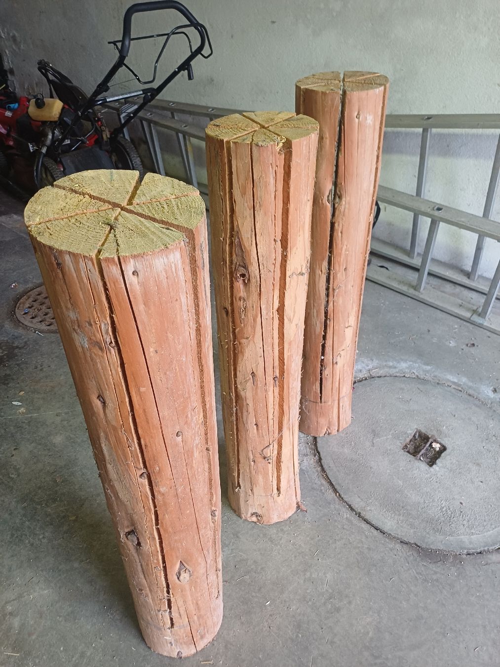 Articoli in legno: 3 Stück Finnenkerzen 1Meter hoch – Usato da Wangenried venduto da Recycler94 1