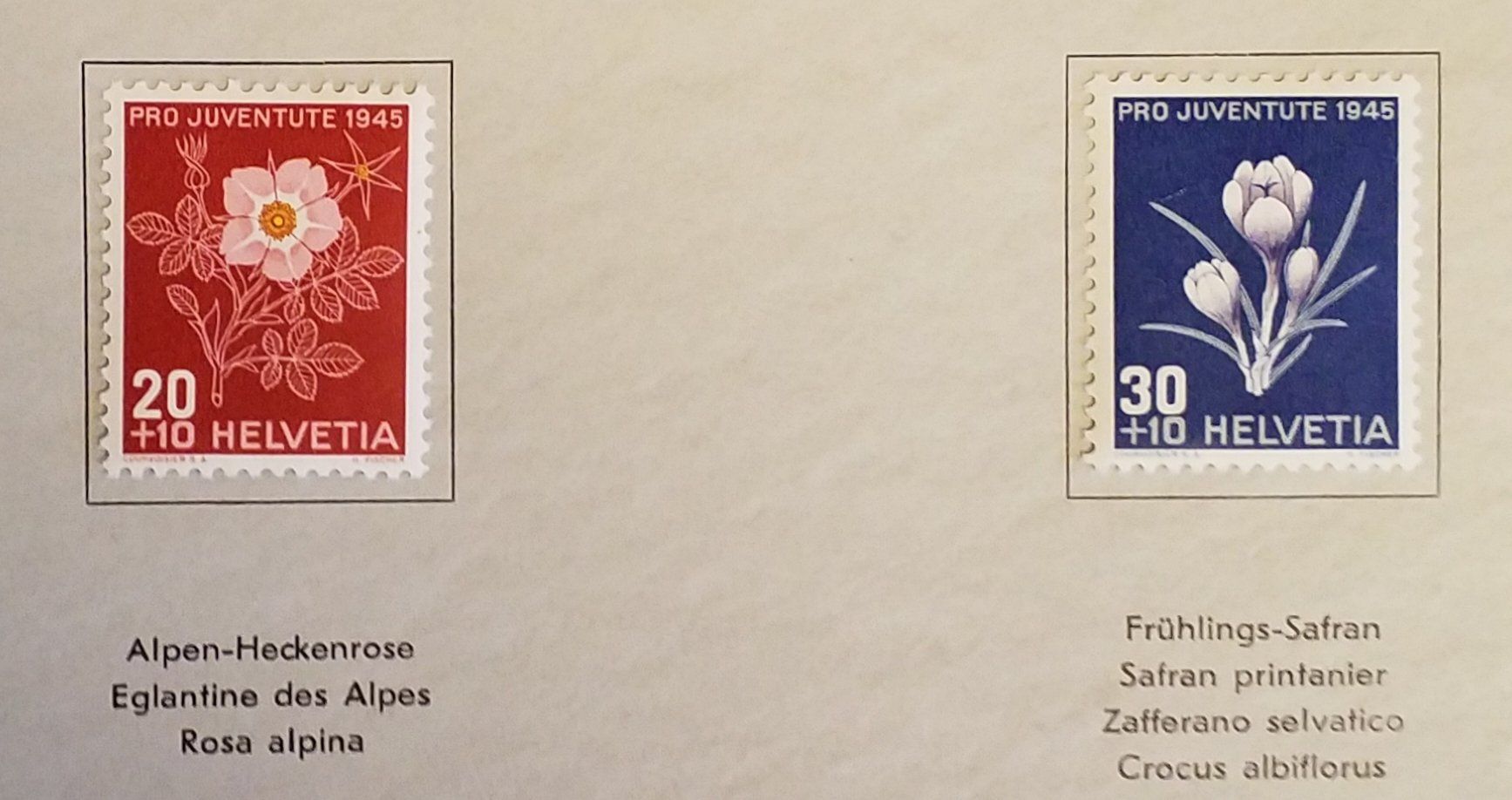 Alle Briefmarken: 1949, Geschenkheft Pro Juventute Bergblumen Kt. Lp – Neu (gemäss Beschreibung) aus Baden von Eggi 3