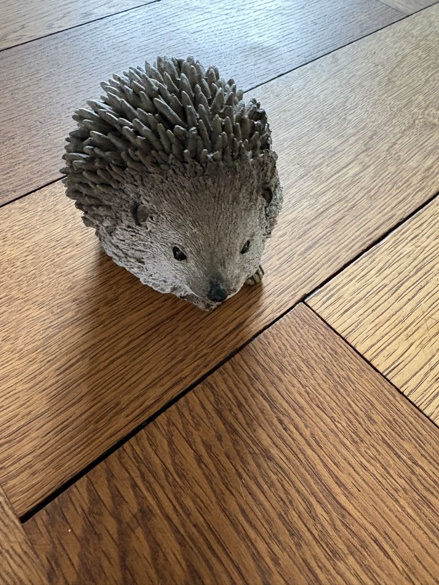 Tutte le decorazioni: Dekorative Igel Figur für Haus oder Garten – Usato da Luzern venduto da Valie 1