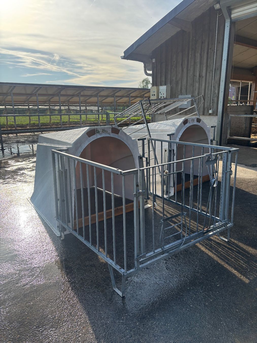Abris: Kälberiglus – D'occasion à Kümmertshausen par Lieblingskuh 2