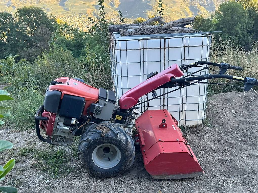 Tutte le macchine: motoculteur – Nuovo e nell'imballaggio originale da Sion venduto da gra_lj2v 1