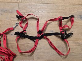 Easy Turn Skilernhilfe – Leine mit Gstältli