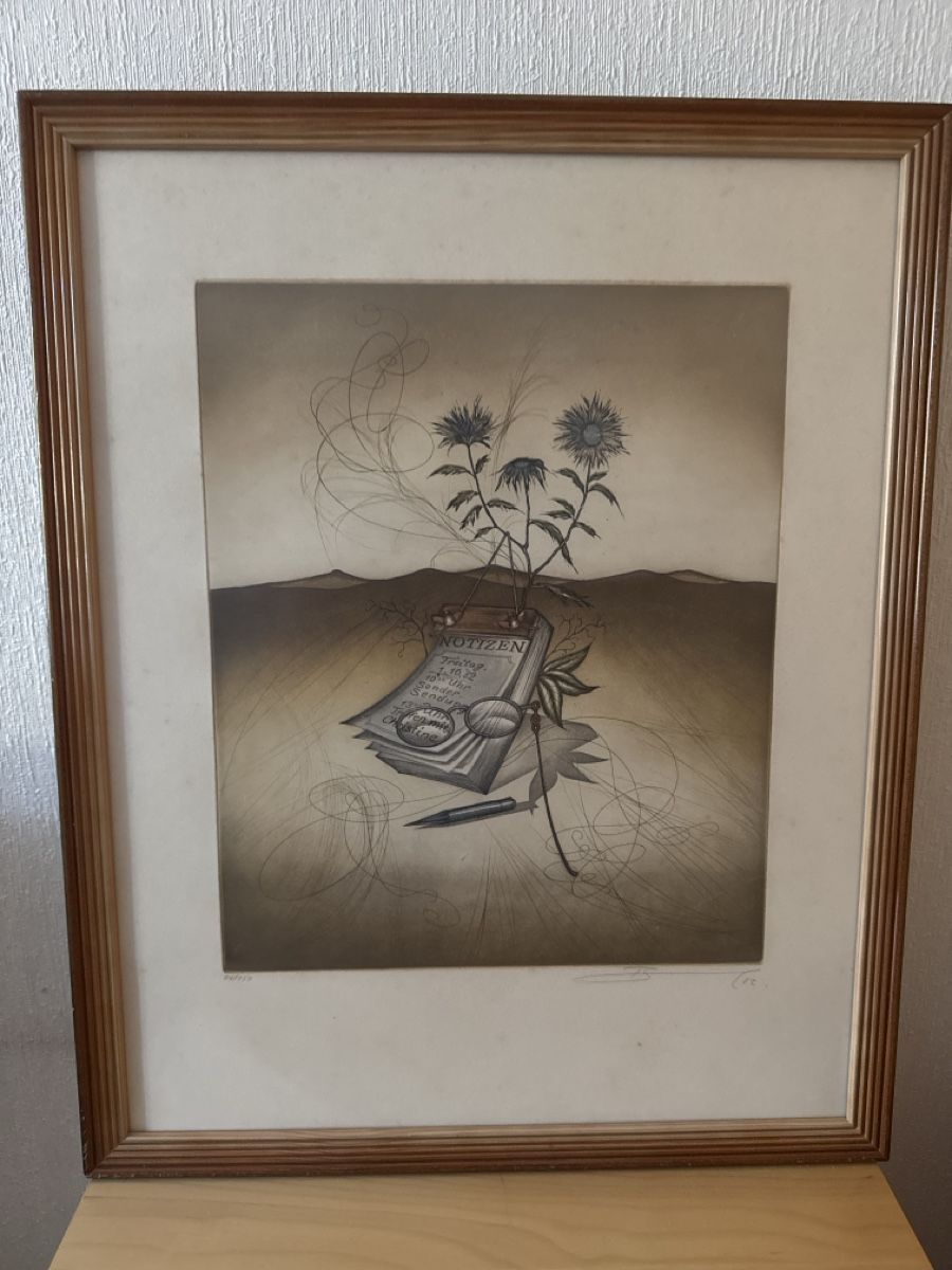 Arts picturaux & lithographies: Rüdiger Brassel Lithographie – D'occasion à Geneva par can_wpx2