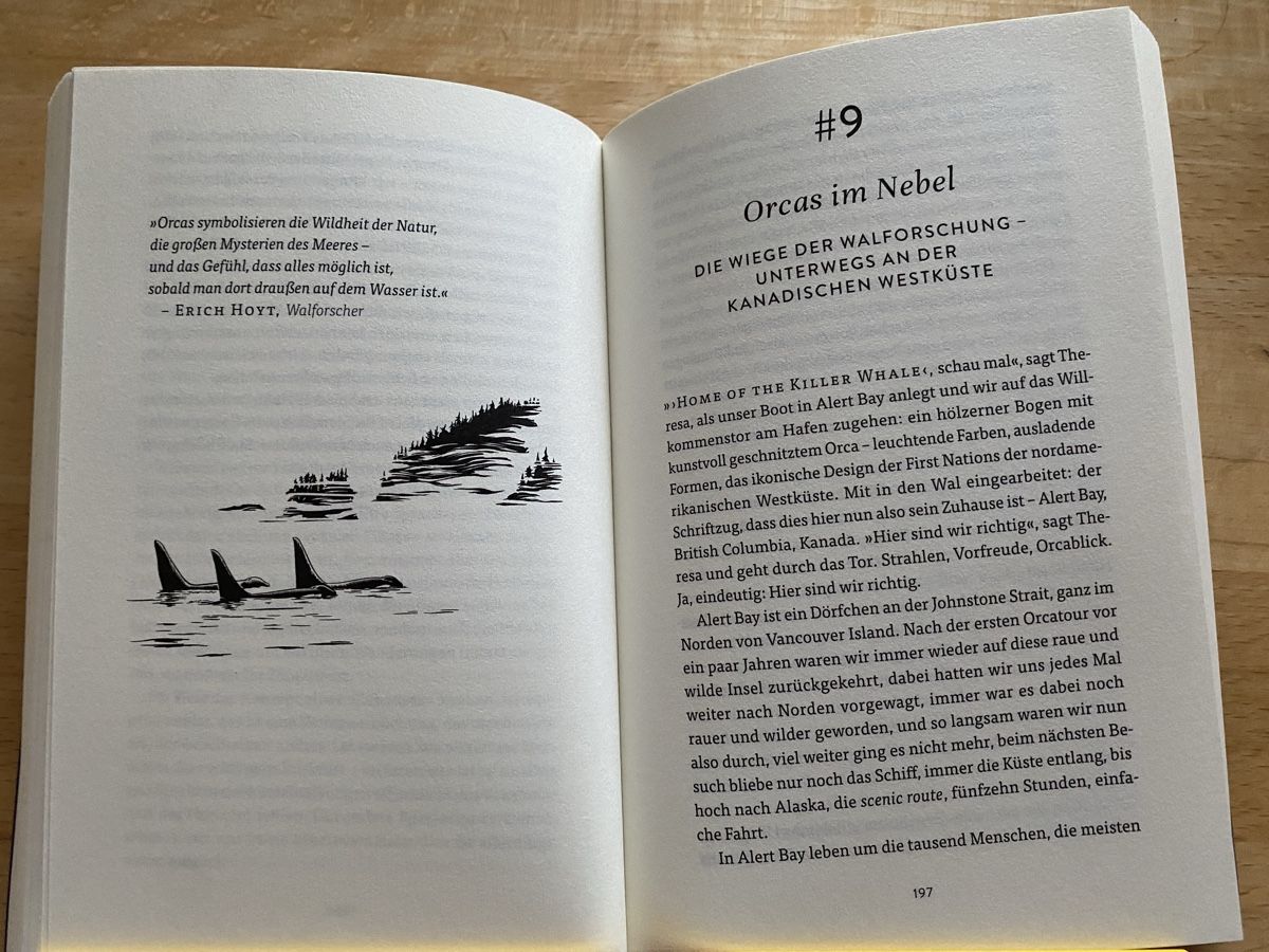 Bücher: Walfahrt - Oliver Dirr – Gebraucht aus Schwarzenburg von Michellu 9
