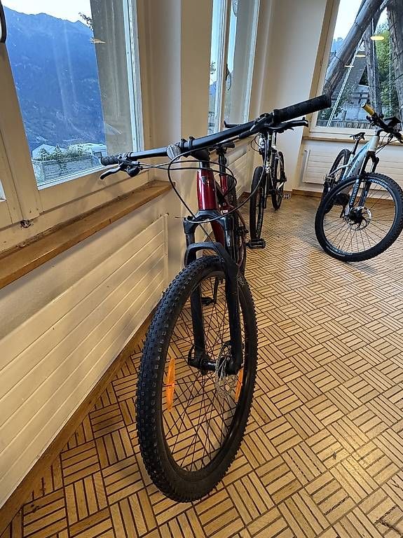 Vélos: Velo – D'occasion à Zeneggen par Holzjoni 1